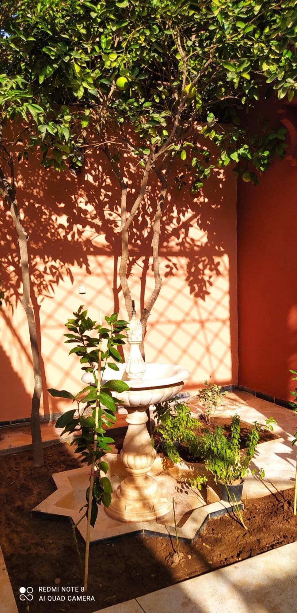 Maison D'Hotes Le Petit Jardin Marrakech Marrakesh Ngoại thất bức ảnh